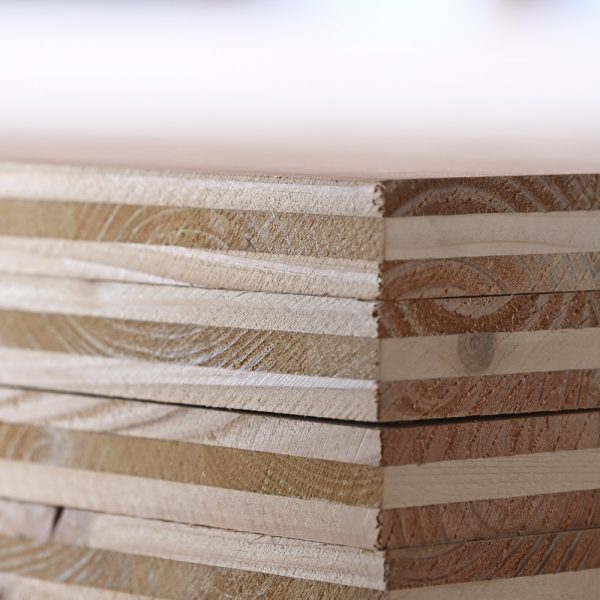 Panneau 3 plis  Douglas</br>5000 x 2050 mm